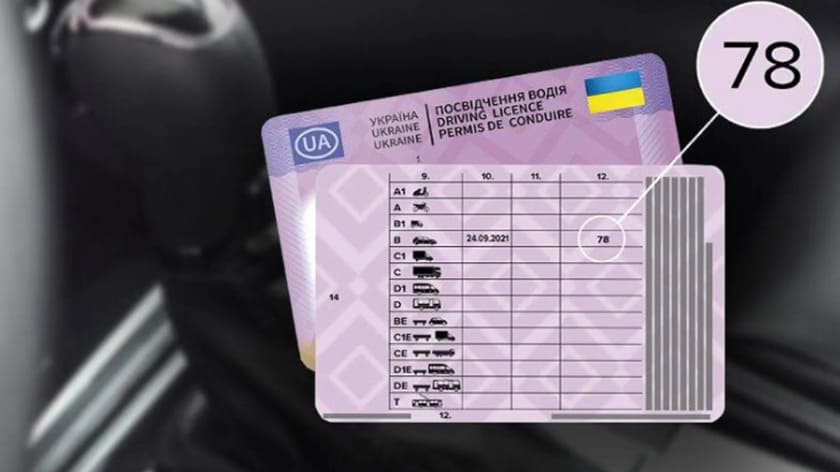 Difference in the driver’s license